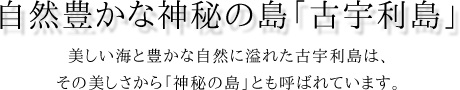 自然豊かな神秘の島「古宇利島」 美しい海と豊かな自然に溢れた古宇利島は、 その美しさから「神秘の島」とも呼ばれています。